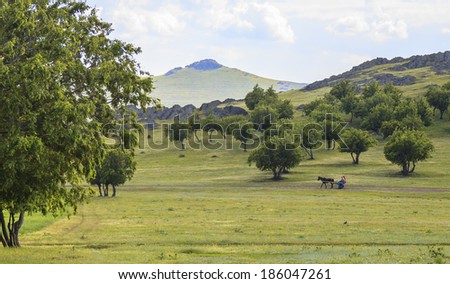 Carriage horse ride hilly landscape with trees and grass in Dobrogea land, Macin mountains, Romania.