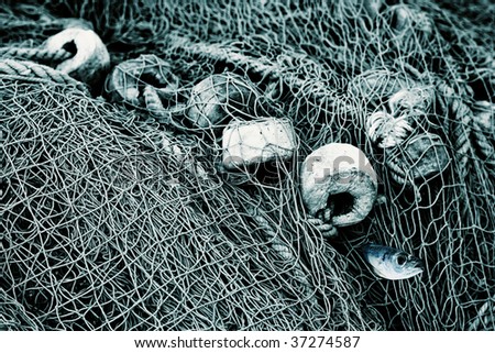 fishing nets with fish. stock photo : Fishing nets