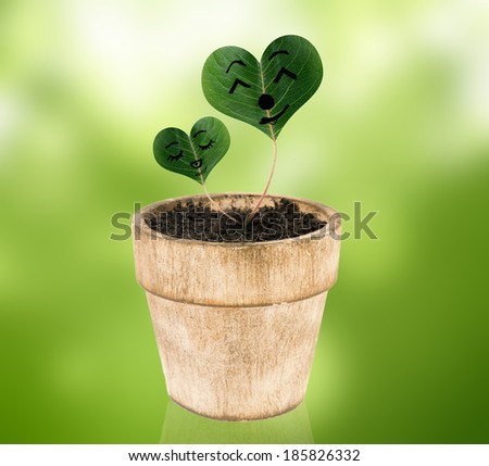 plant pot over white with heart shaped leaves