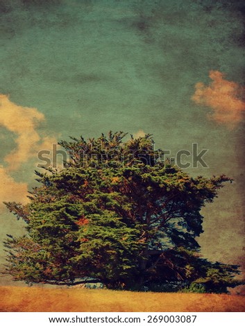 Vintage textured picture of green tree on the hill