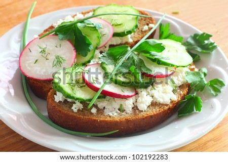 Fresh toast sandwiches with radish,cucumber and soft cheese over white plate