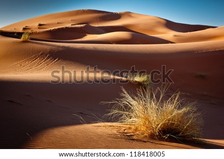 Erg chebbi sand dunes, Morocco, North Africa