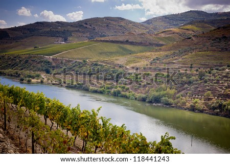 Vineyards of the Douro Valley, Porto, Portugal