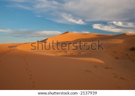 Gold sand and blue sky