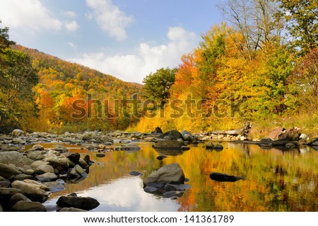 Autumn in West Virginia Along Mountain Stream