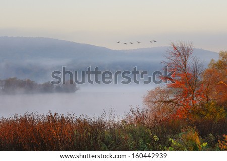 Fog Over Lake with Flying Geese