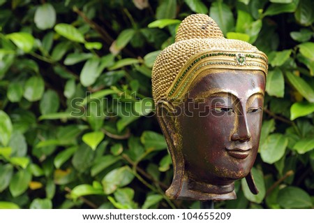 Portrait of a buddha statue with green leaf background
