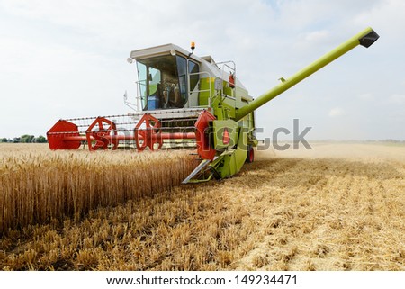 grain harvester combine work in field