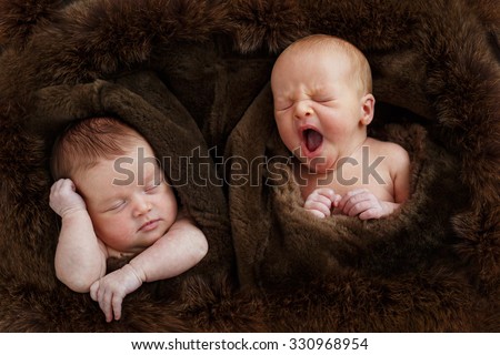 Cute sleeping new born twins inside the brown fur