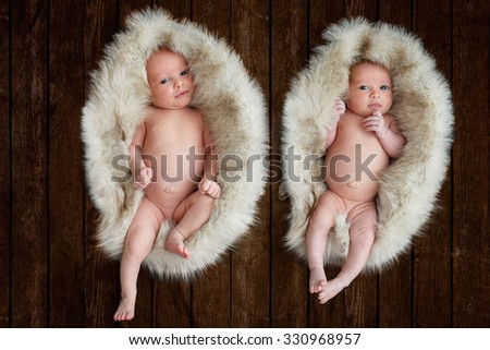 Cute sleeping new born twins inside the silver fox fur on brown wood floor