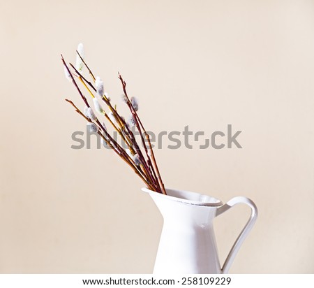 Beautiful pussy willow flowers branches in vase. Soft floral spring frame with very shallow DOF