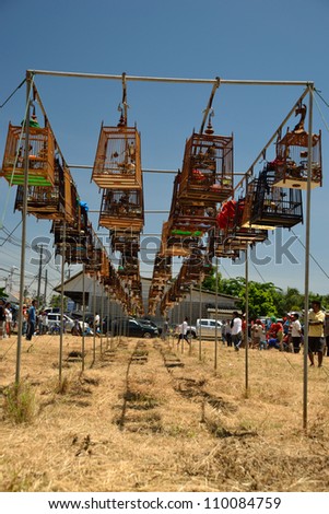 KO SAMUI,THAILAND - AUGUST 12, 2012: Row of bird cages with competitions during famous local birds sound contest on August 12, 2012 in Ko samui, Thailand
