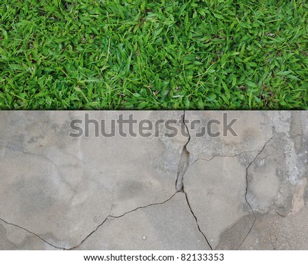 grass field and cracked concrete background picture for general background usage.