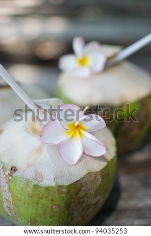 Young coconut palm with white flower on wood floor.