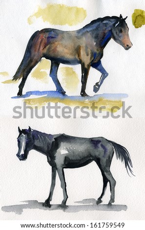 sketches of animals horses