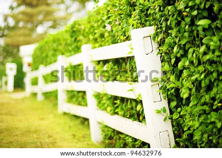 wood fence in garden