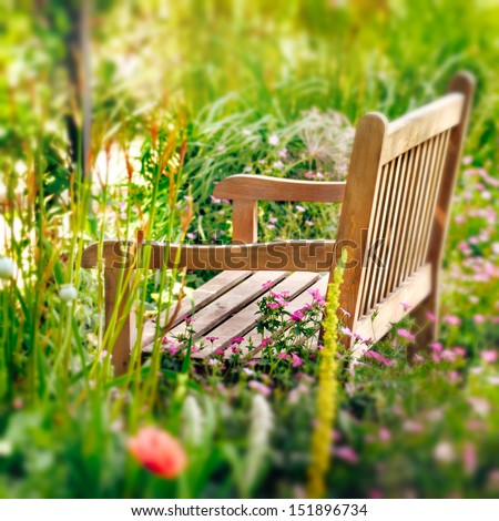 Wooden Bench In A Wildflower Garden. Square Composition.