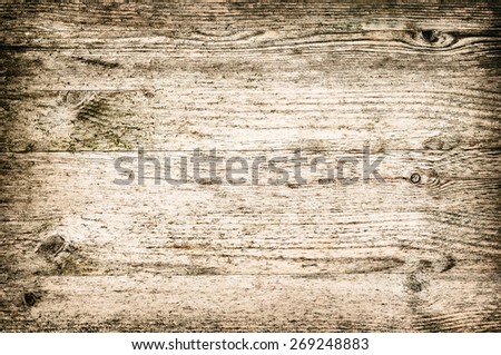 Beach wood textured background panel horizontal neat and light color bleached brown
