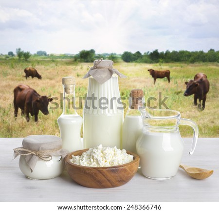 Milk on wooden table with cows on the background
