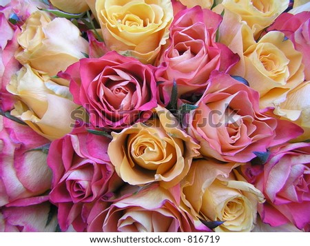  photograph of a wedding bouquet with peachy yellow and pinkish red roses