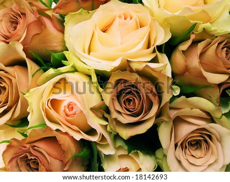cross-process photograph of a brides bouquet with a variety of roses
