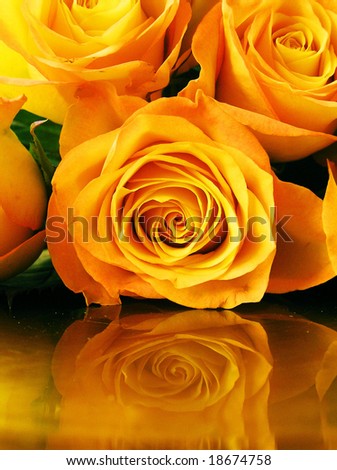 cross-process photographic reproduction yellow roses on golden surface