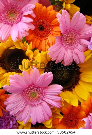 ultra colorful abundant summer bouquet with Sunflowers, Gerbera\'s and Dahlia\'s