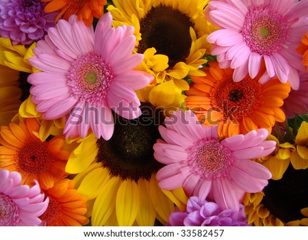 ultra colorful abundant summer bouquet with Sunflowers, Gerbera\'s and Dahlia\'s