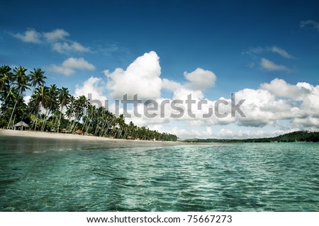Tropical Beach in Brazil, South America/Carneiros Beach