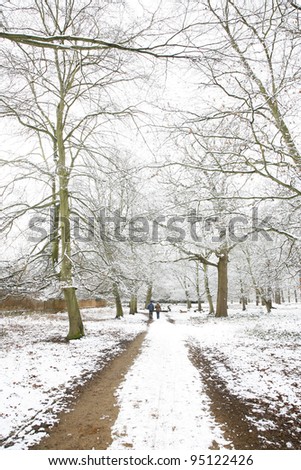 Winter landscape of Richmond Park, it is the largest park of the royal parks in London and almost three times bigger than New York's Central Park.
