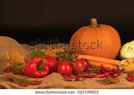 Vegetable/Still life with vegetables: tomatoes, peppers, pumpkin, carrots.