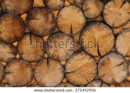 Wood / Wood from cut trees in a forest / Wall of wood