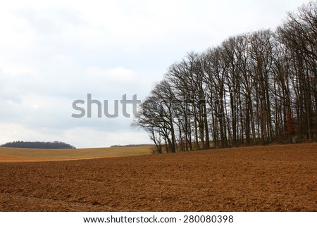 Landscape / Arable land. Direct road among the cleaned fields.