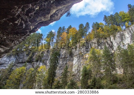 Autumn forest growing on the rocks / Allgau. Autumn forest growing on high cliffs. Wonderful world. Tree growing out of rock.