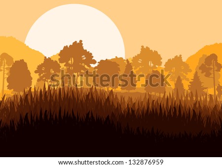 Wild mountain forest nature landscape scene background illustration vector