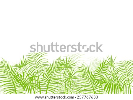 Palm tree leaf vector background ecology landscape