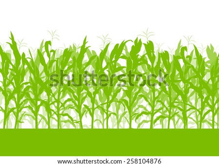 Corn field vector background ecology green concept