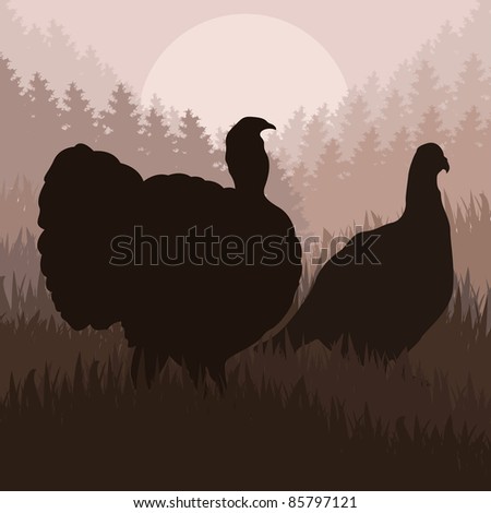 Wild turkey hunting season landscape background illustration