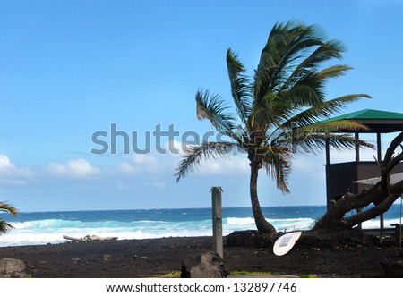 Rescue board and lifeguard shack sit on the Punaluu Black Sand Beach on the Big Island of Hawaii.  Lone palm tree and shower station sit besides them.