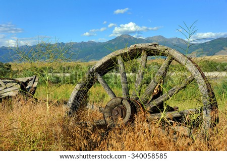 Weathered and rusting wagon wheel sits overgrown by weeds in Paradise Valley, Montana.
