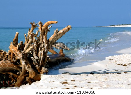 Cozumel\'s white sand beaches.  Waves roll in gently.  Large mass of driftwood.