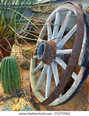 Cactus and wagon wheel sit in desert hot house display.  Steel rim of wheel is coming off.  Rustic and weathered.