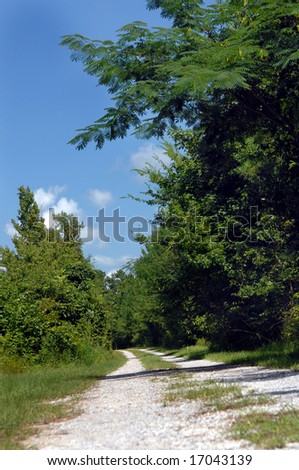 Narrow dirt lane disappears into the trees.  Trees and foliage frame lane and blue sky adds a splash of vivid blue.