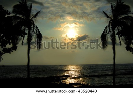 Sun sets between two palm trees on the Big Island of Hawaii.  Golden glow reflects on the water.
