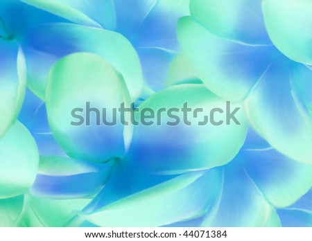 Scrapbooking background is filled with plumeria petals glowing with blue insides.  Petals are mint green and image is soft.