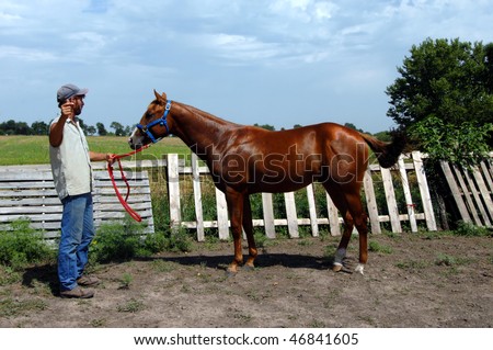 Trainer holds reins of potential racing horse.  Sorrel gelding, quarter horse stands in profile besides rustic wooden fence.  Blue skies with meadow behind horse.