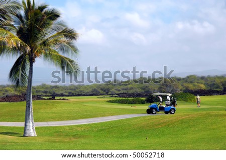 Group of retirees golf on the Big Island of Hawaii.  Palm trees, volcanoes and volcanic rock form backdrop for this scenic golf course
