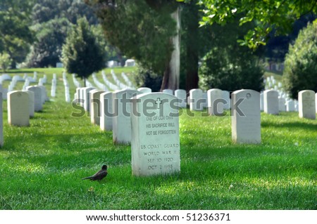 Arlington Cemetery has markers remembering soldiers who fought for our country.  This marker is visited by a Robin on a quiet summer day.