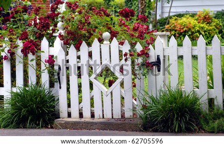 White picket fence fends off the overflow of red roses blooming in this homes yard.  Diamond architecture in garden gate adds a unique flair this this sidewalk attraction.