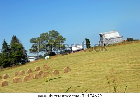 Angled image shows two barns with a field full of round hay bales.  Big barn is white, weathered and wooden.